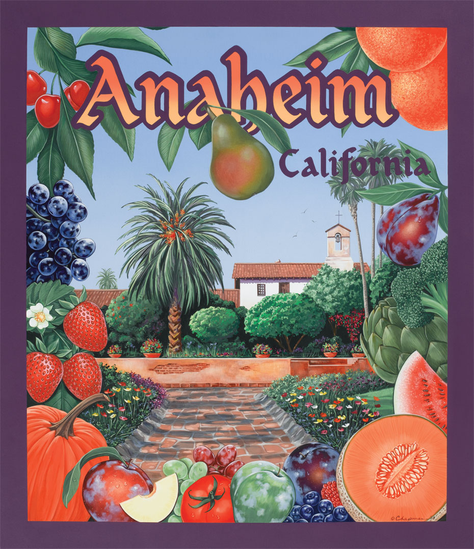 AnaheimPMA09web