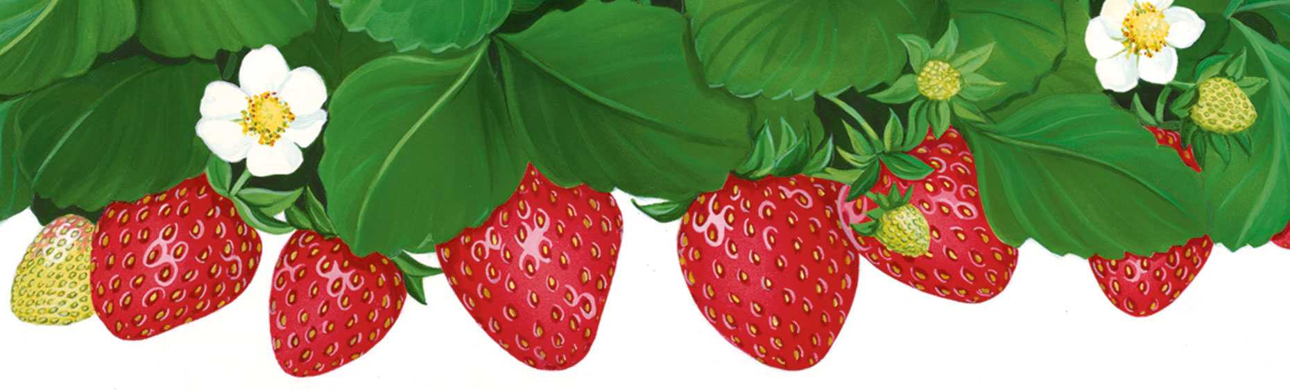 Strawberriescroppedweb